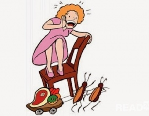 Thuốc diệt gián