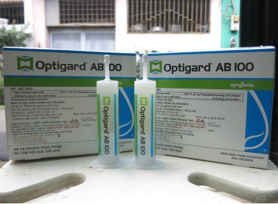 Nên dùng thuốc diệt kiến hay mẹo vặt dân gian