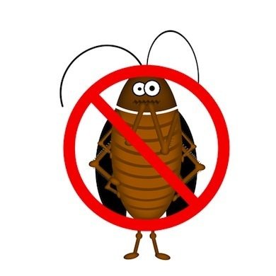 thuốc diệt gián tận gốc