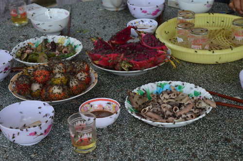 Cách diệt ruồi trong quán ăn