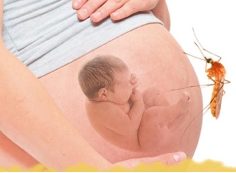 Phun thuốc muỗi có ảnh hưởng tới bà bầu