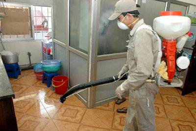 Có nên phun thuốc diệt muỗi trong nhà