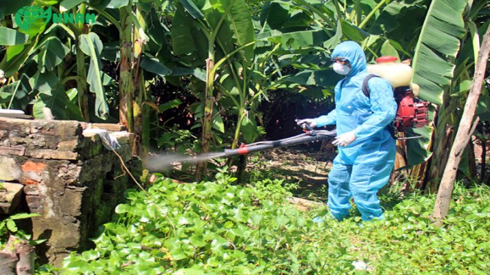 Thuốc diệt muỗi có hại cho trẻ em không