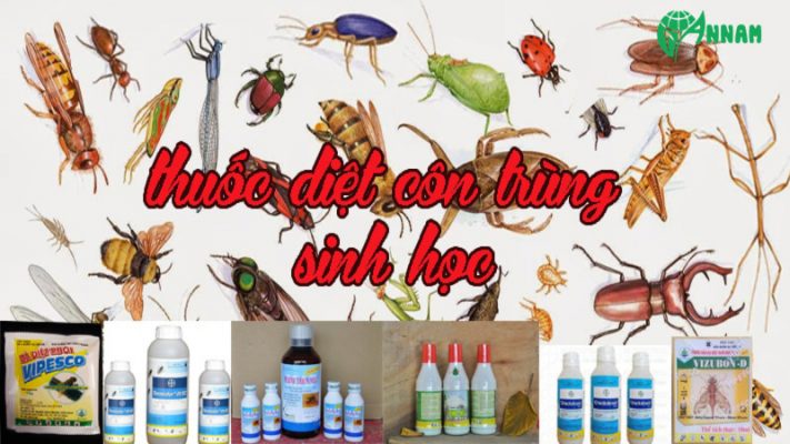 Thuốc diệt ruồi muỗi sinh học