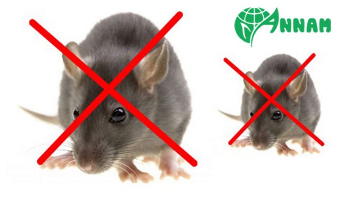 Thuốc diệt chuột dạng nước