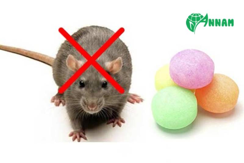 Thuốc diệt chuột hiệu quả tốt nhất ảnh