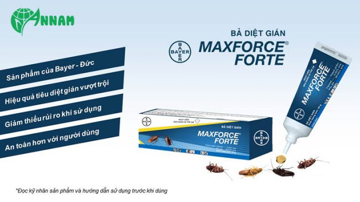 Thuốc diệt kiến gián tận gốc