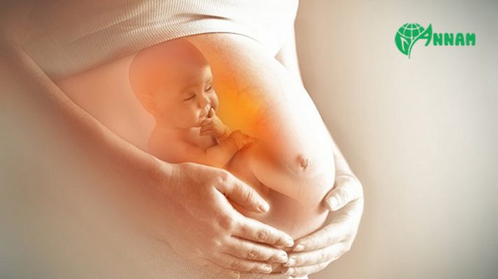 Thuốc diệt mối có ảnh hưởng đến thai nhi không