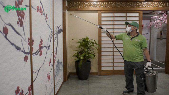 Thuốc diệt mối dạng xịt