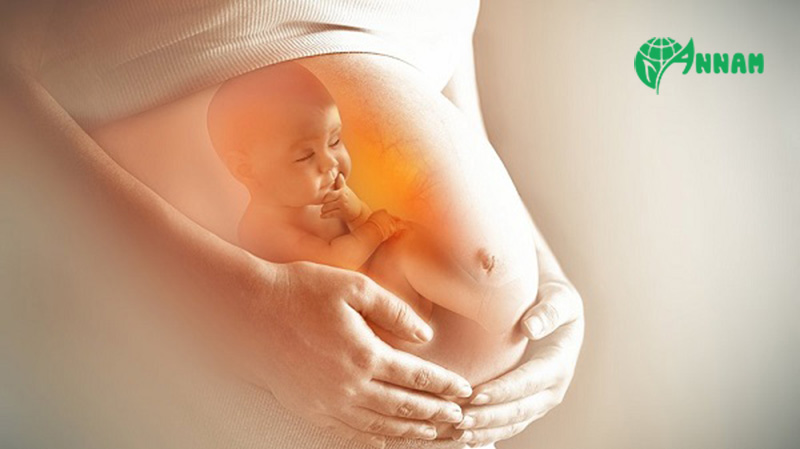 Thuốc diệt muỗi có ảnh hưởng đến thai nhi